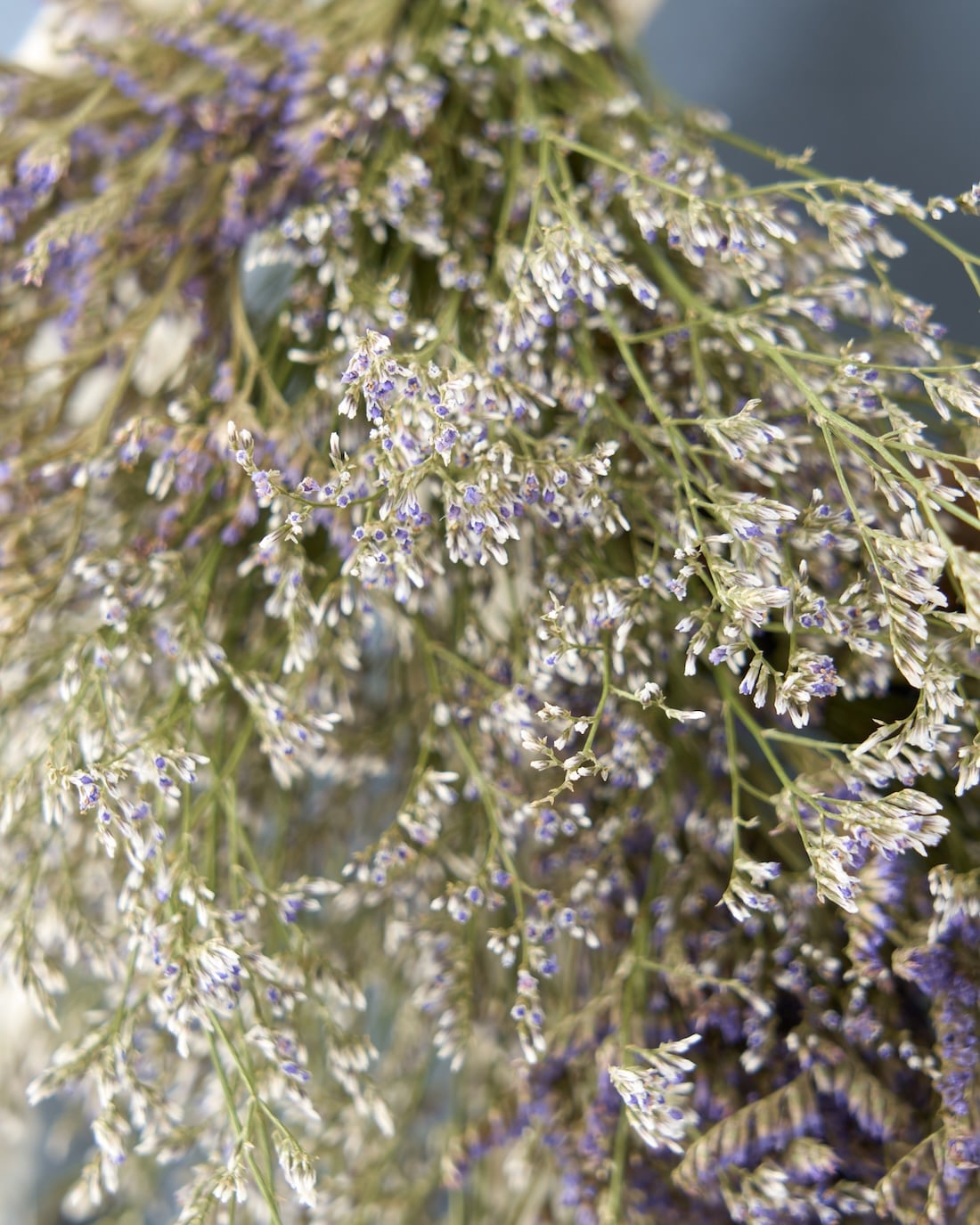 ＜Happy Birthday＞ブルーファンタジアとカリナディープブルーのリース