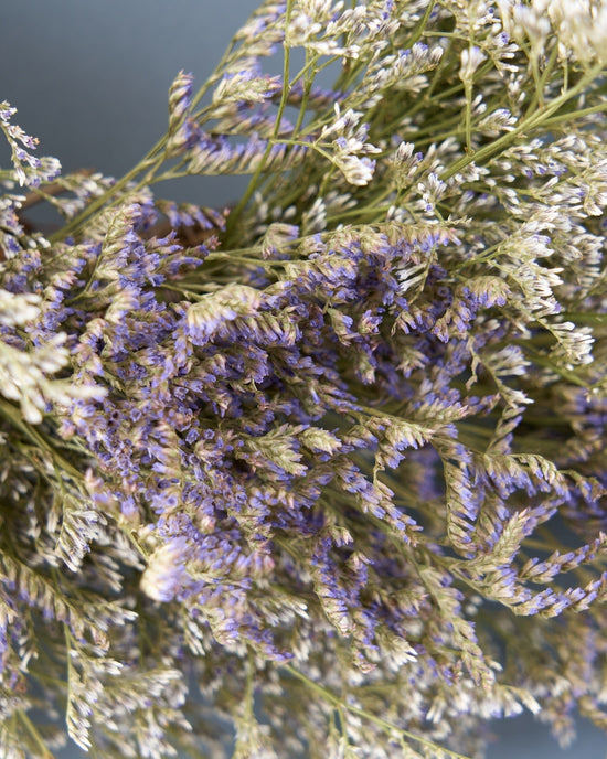 ＜Happy Birthday＞ブルーファンタジアとカリナディープブルーのリース