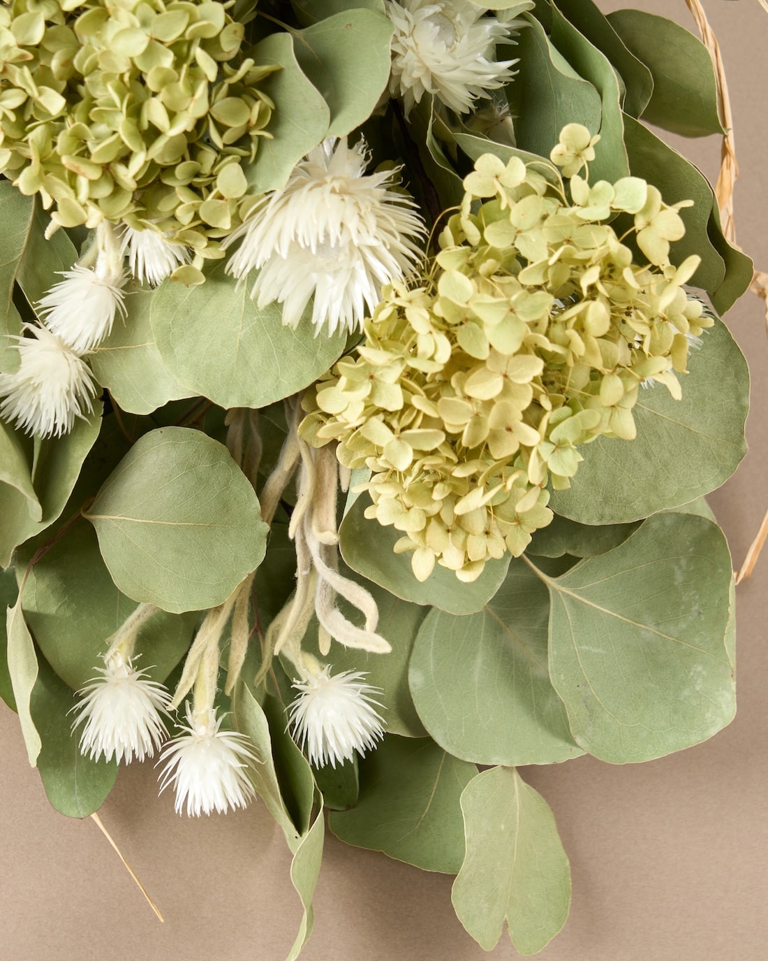 ＜イノセント＞紫陽花アナベル・ユーカリ・エバーラスティングのスワッグ