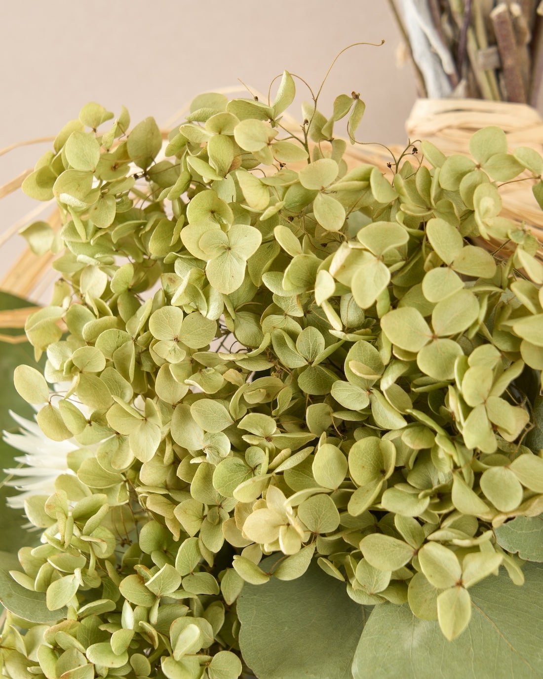 ＜イノセント＞紫陽花アナベル・ユーカリ・エバーラスティングのスワッグ