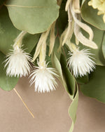 ＜イノセント＞紫陽花アナベル・ユーカリ・エバーラスティングのスワッグ