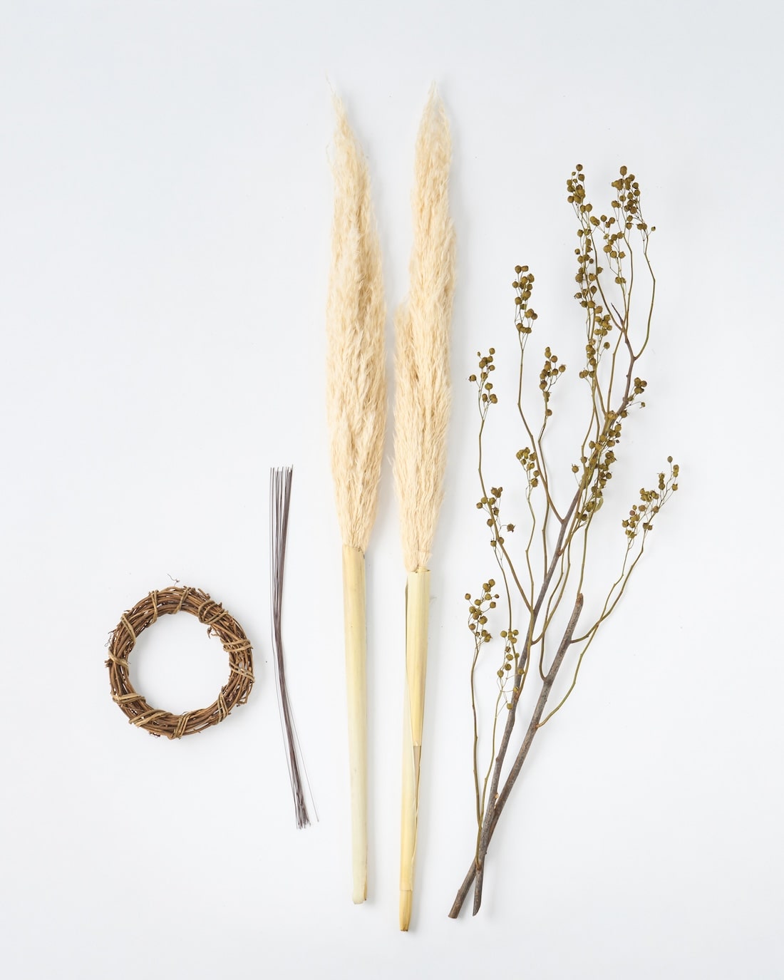 砂漠の星屑＞パンパスグラス・野ばらの実のリース 商品ページ - 土と風