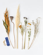 ＜まなざし＞パンパスグラス・ハス・グレビレアのスワッグ