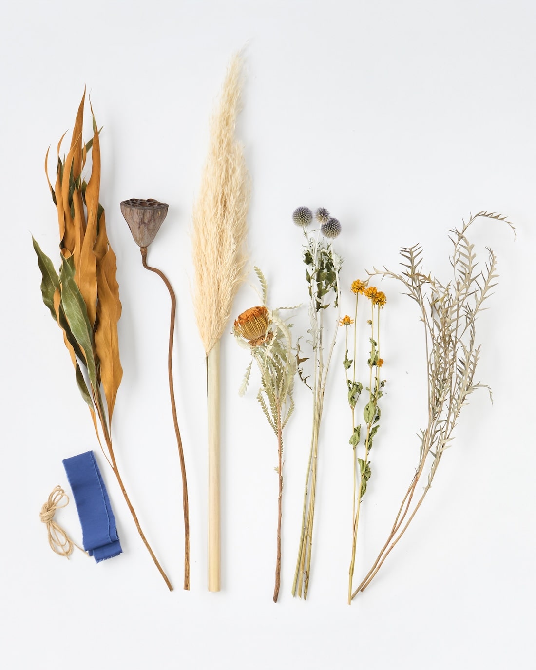 ＜まなざし＞パンパスグラス・ハス・グレビレアのスワッグ