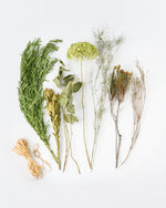 ＜不意打ちの出会い＞紫陽花アナベル・ネべリア・フィリカのスワッグ