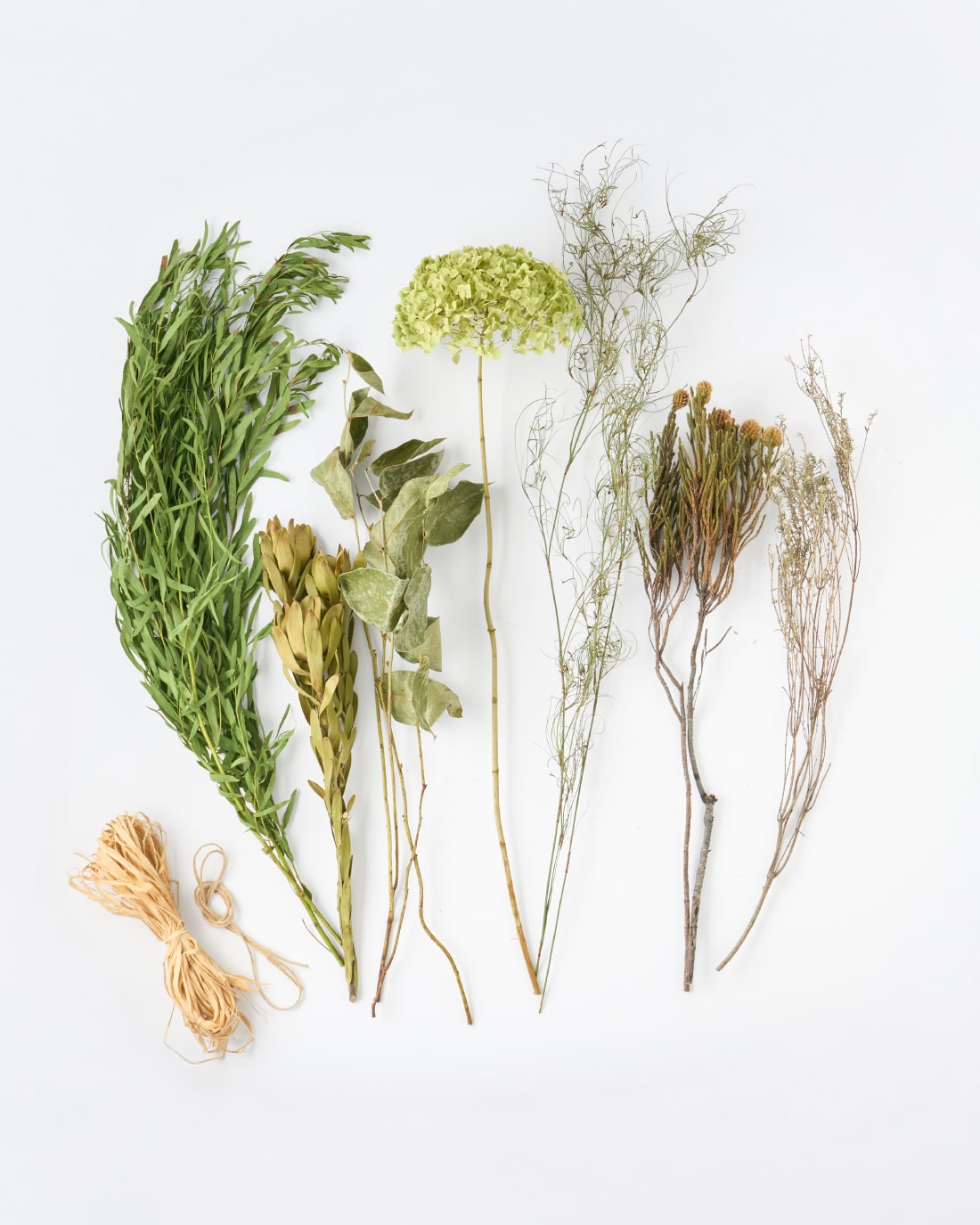 ＜不意打ちの出会い＞紫陽花アナベル・ネべリア・フィリカのスワッグ