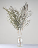 ［BIGボタニカル｜ドライ］アレカヤシ 120cm