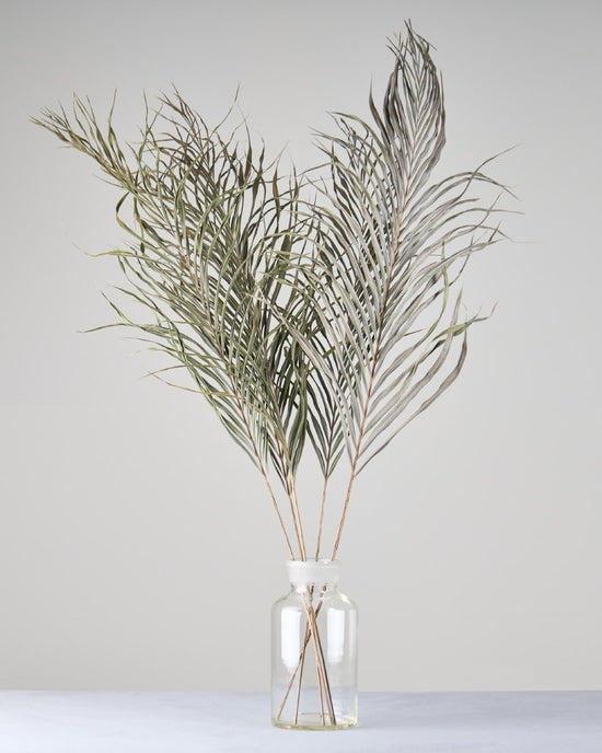 ［BIGボタニカル｜ドライ］アレカヤシ 120cm