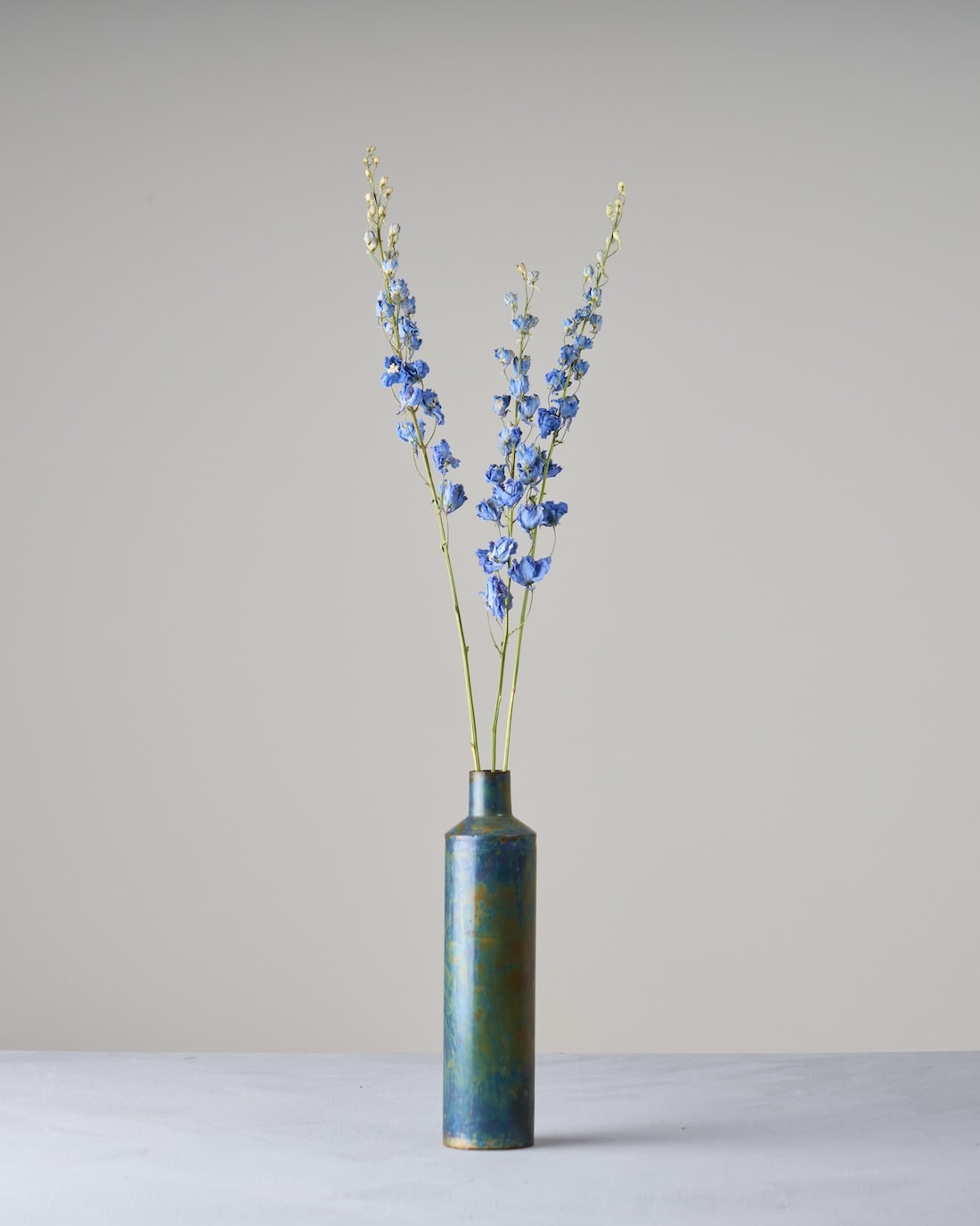 ［ドライフラワー］デルフィニューム ジャイアント パシフィック