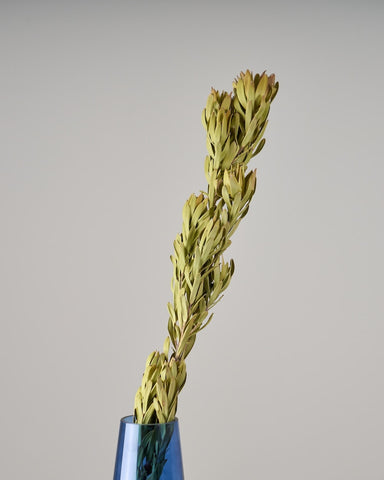 20250826__6439-min_large.jpg?v