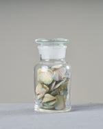 ［フラワーベース・雑貨］メディシンボトル