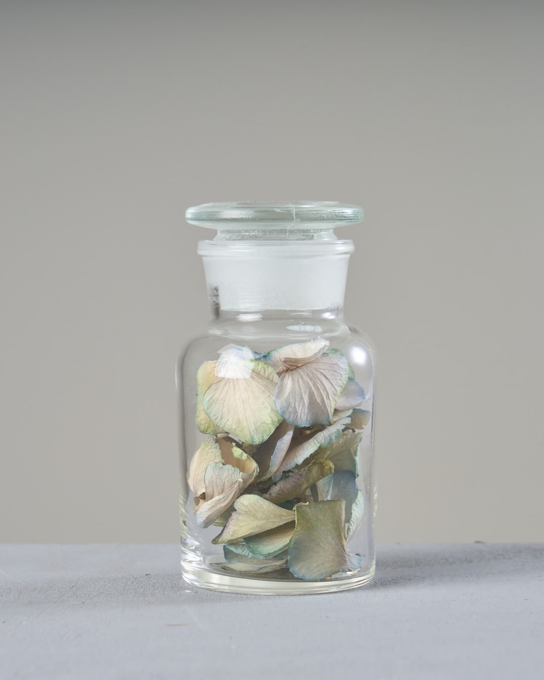 ［フラワーベース・雑貨］メディシンボトル