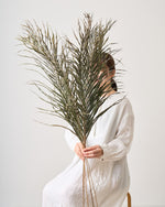 ［BIGボタニカル｜ドライ］アレカヤシ 120cm