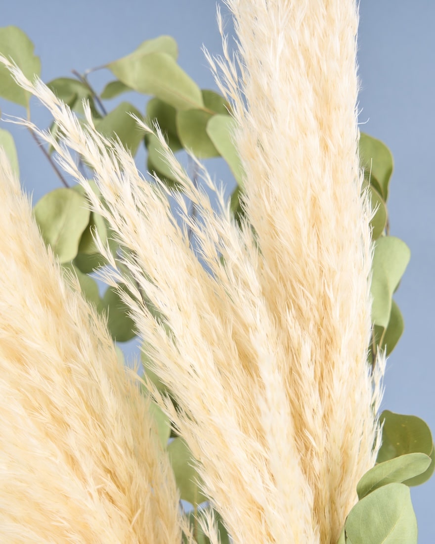 飾るだけでサマになるドライフラワーセット（パンパスグラス）