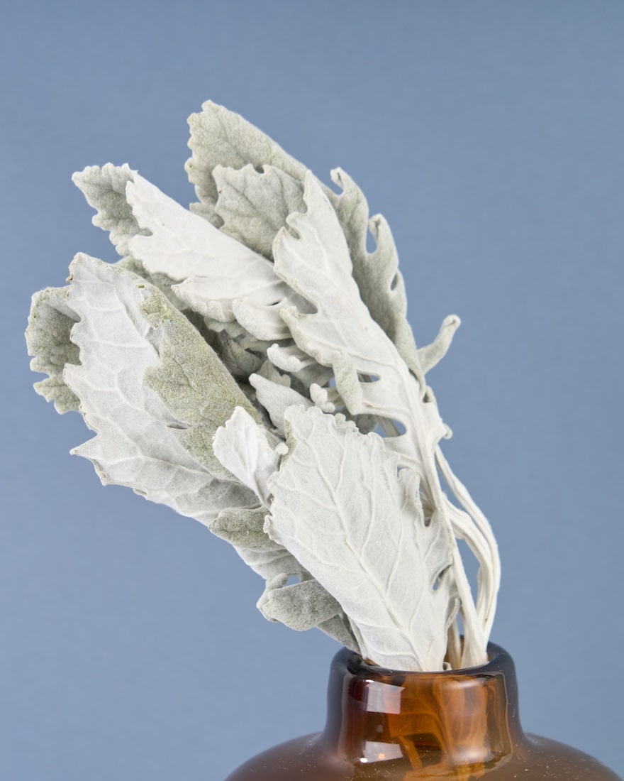 飾るだけでサマになるドライフラワーセット（ブルーファンタジア・ユーカリ）