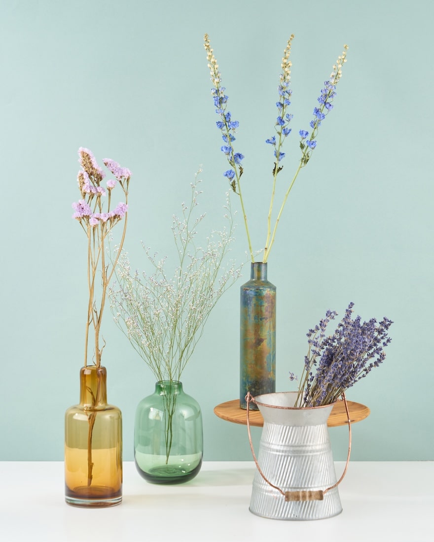 ［ドライフラワー］デルフィニューム ジャイアント パシフィック