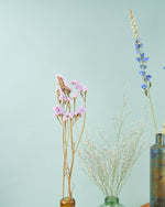 飾るだけでサマになるドライフラワーセット（ラベンダー・デルフィニューム）