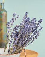 飾るだけでサマになるドライフラワーセット（ラベンダー・デルフィニューム）