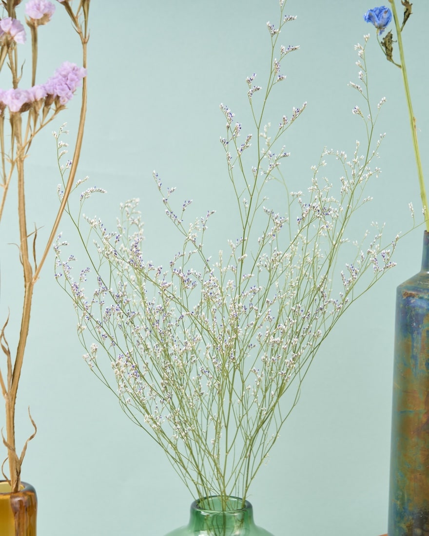 飾るだけでサマになるドライフラワーセット（ラベンダー・デルフィニューム）