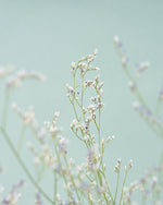 飾るだけでサマになるドライフラワーセット（ラベンダー・デルフィニューム）