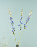 ［ドライフラワー］デルフィニューム ジャイアント パシフィック
