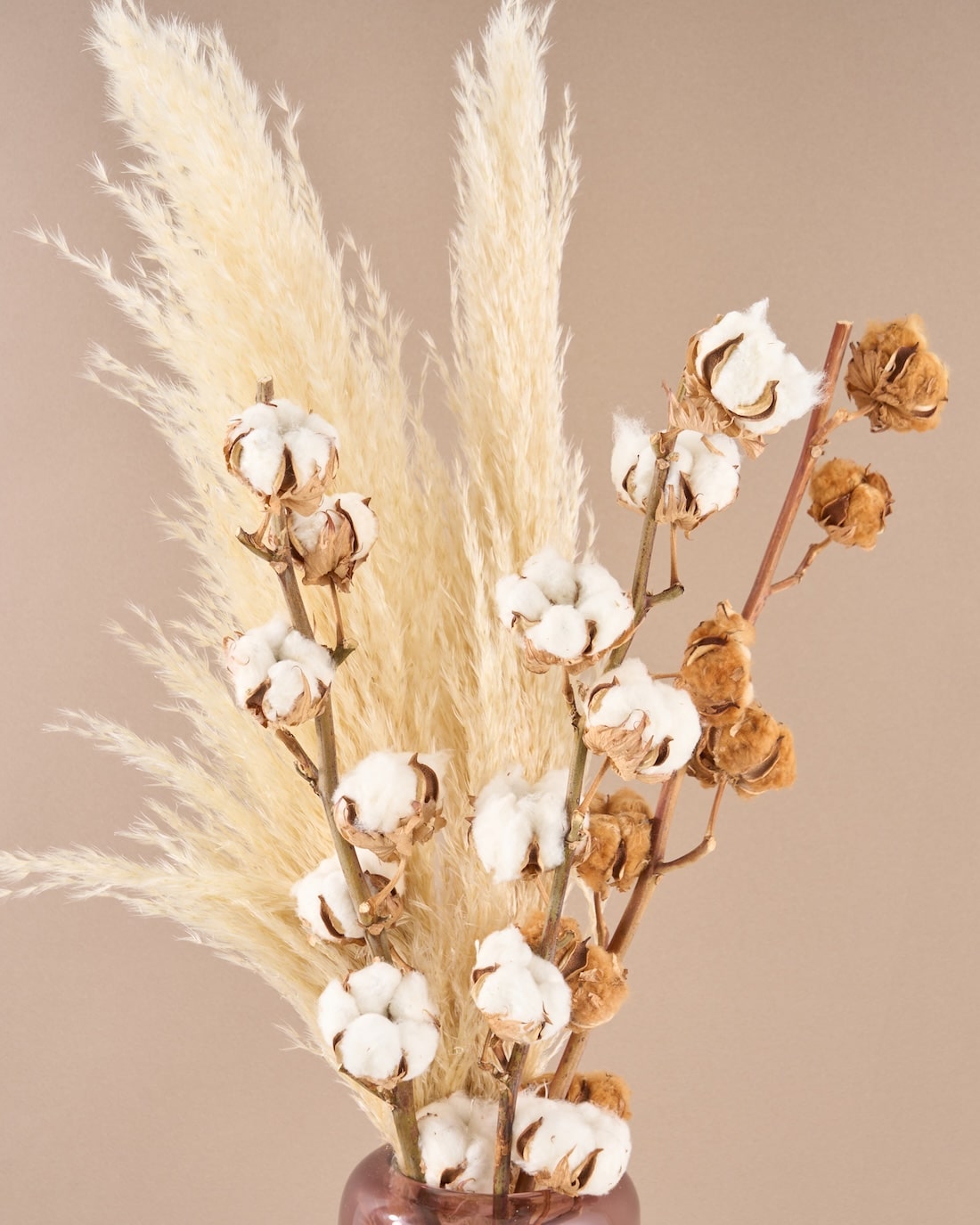 飾るだけでサマになるドライフラワーセット（パンパスグラス）