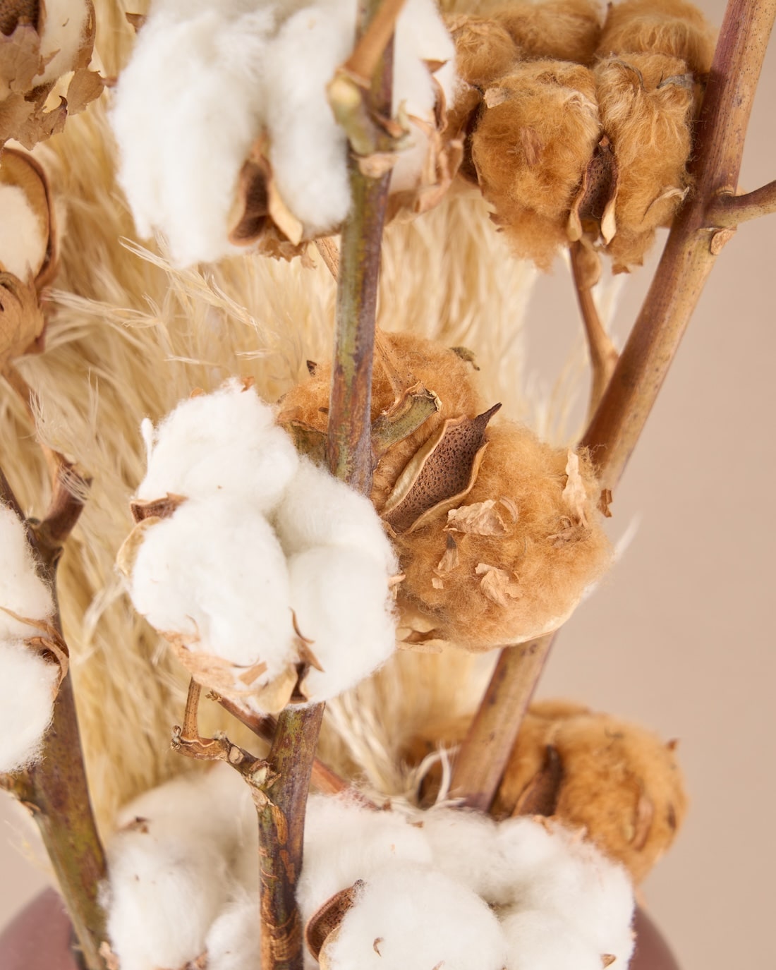 飾るだけでサマになるドライフラワーセット（パンパスグラス）