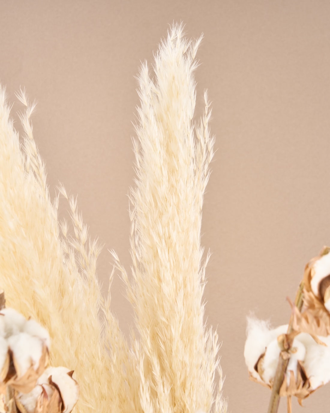 飾るだけでサマになるドライフラワーセット（パンパスグラス）