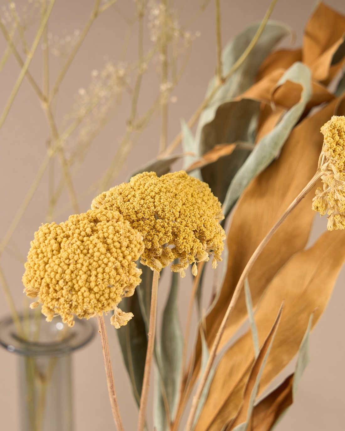 飾るだけでサマになるドライフラワーセット（アキレア・フィリカ）
