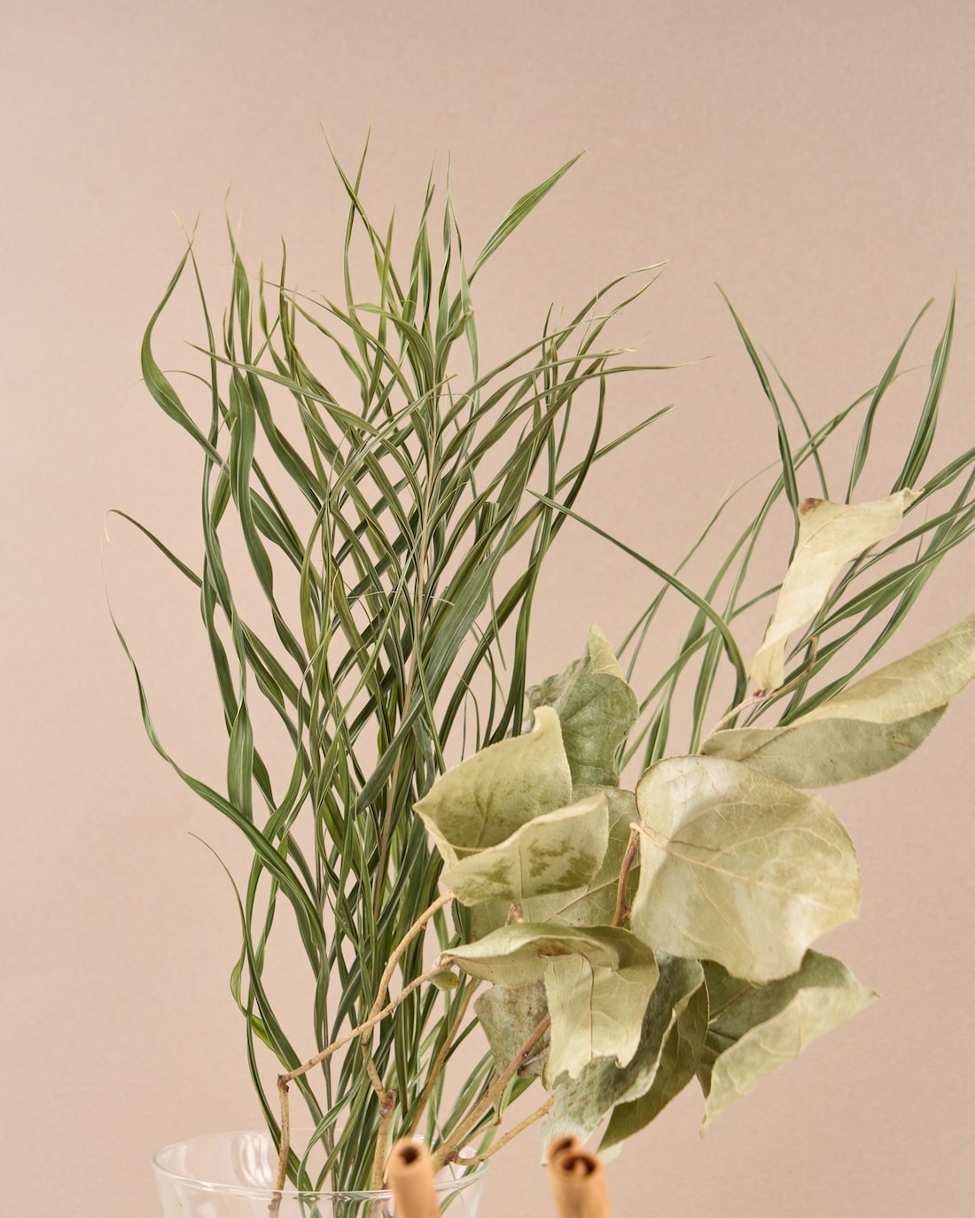 飾るだけでサマになるドライフラワーセット（スターチス・シナモンスティック・アレカヤシ）