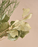 飾るだけでサマになるドライフラワーセット（スターチス・シナモンスティック・アレカヤシ）