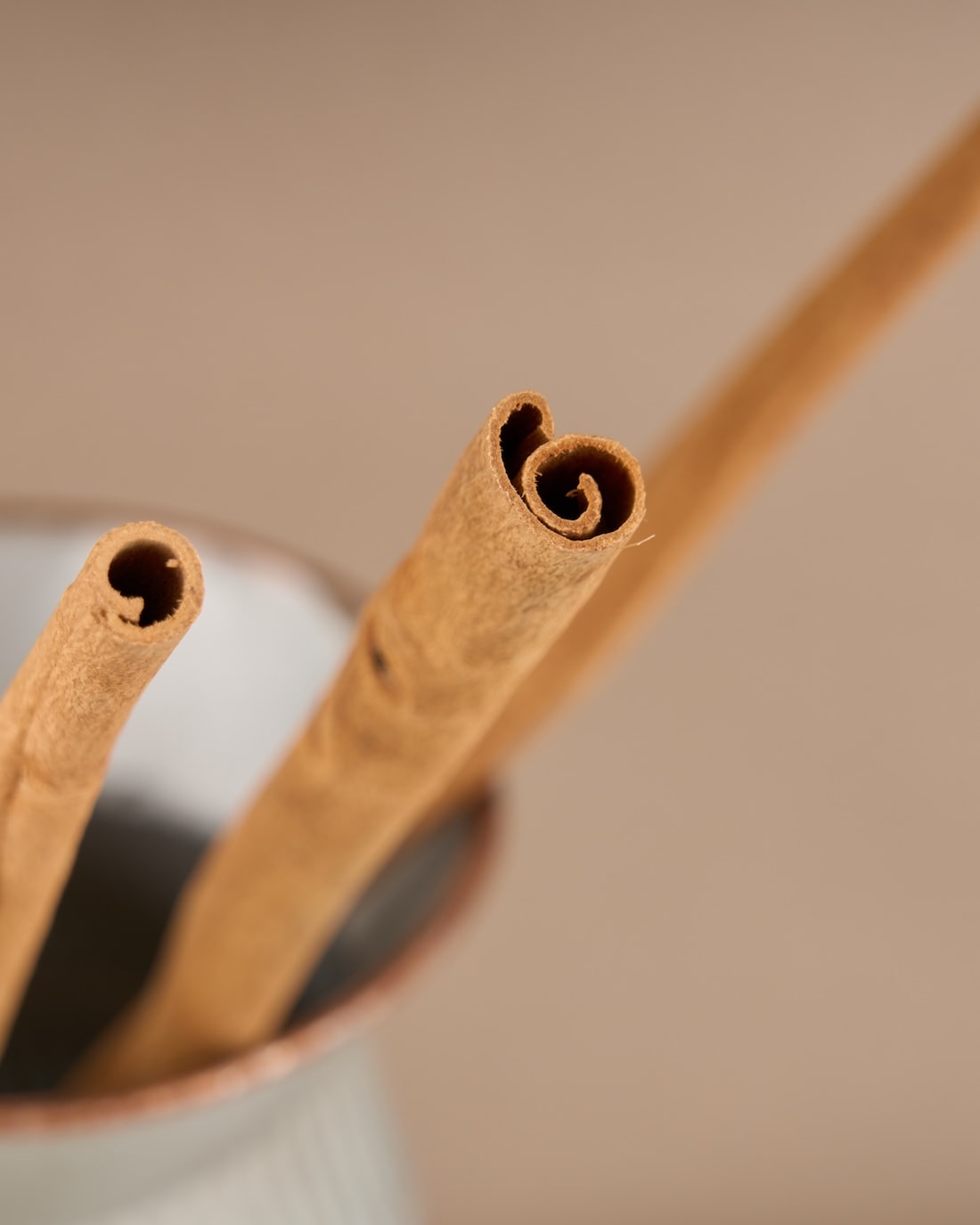 飾るだけでサマになるドライフラワーセット（スターチス・シナモンスティック・アレカヤシ）