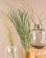 飾るだけでサマになるドライフラワーセット（雲竜柳・アレカヤシ・エミューファン）