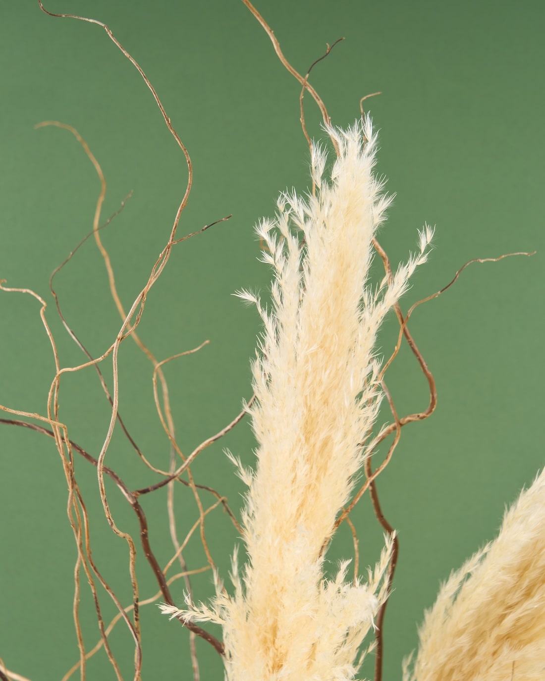 飾るだけでサマになるドライフラワーセット（パンパスグラス）