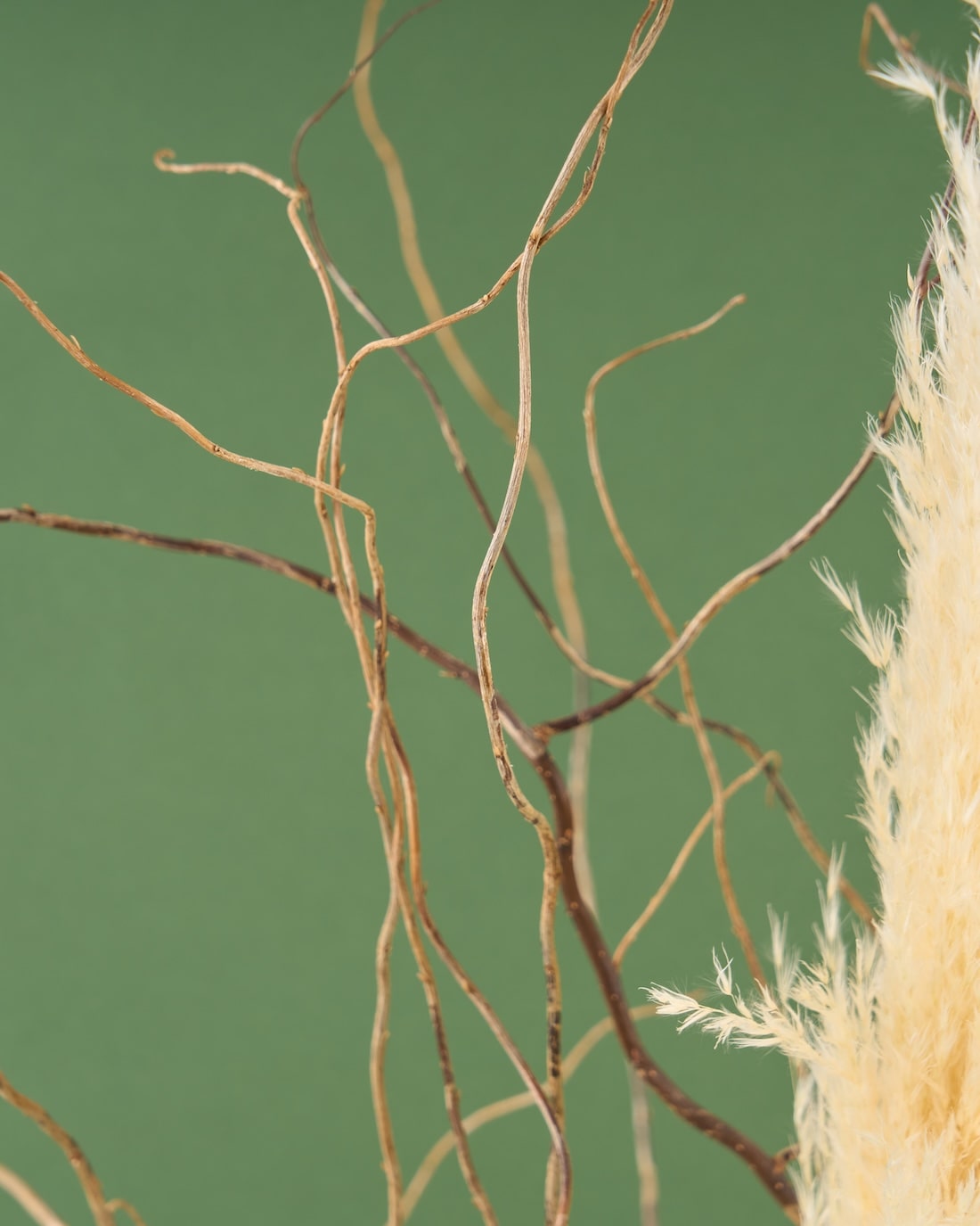 飾るだけでサマになるドライフラワーセット（パンパスグラス）