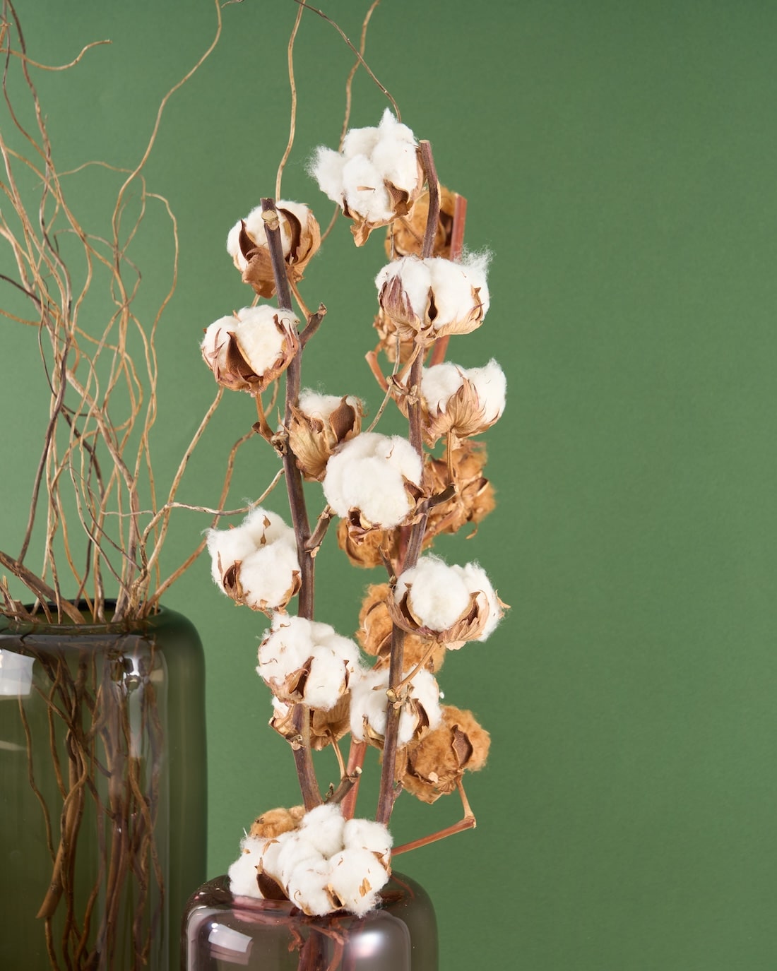 雲竜柳とおすすめドライフラワーのセット 商品ページ - 土と風の