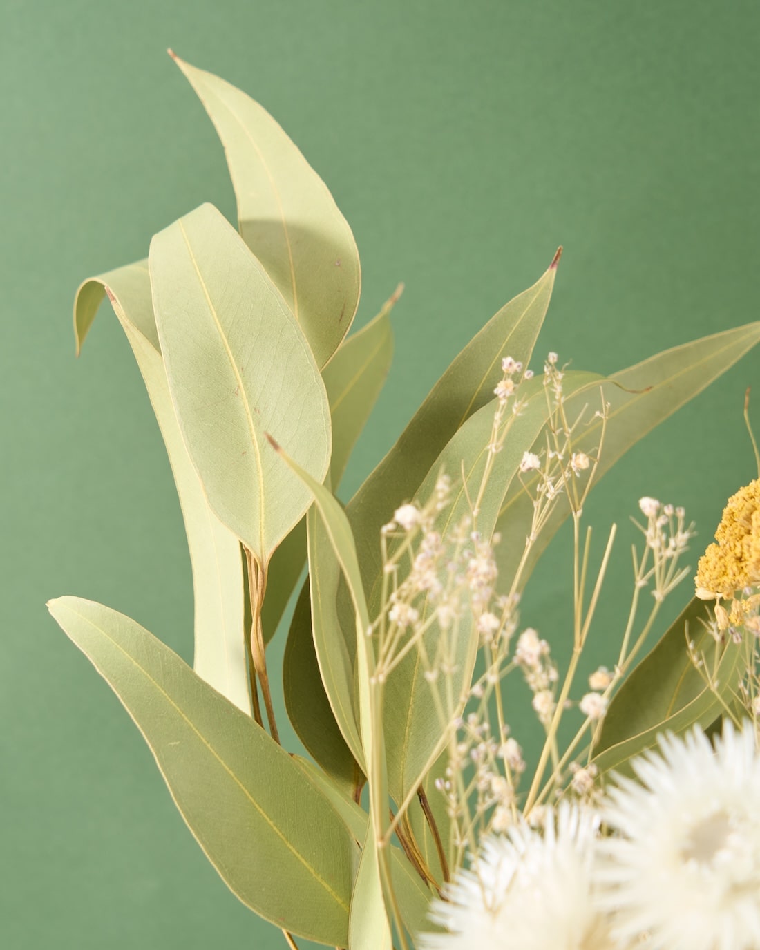 飾るだけでサマになるドライフラワーセット（アキレア・フィリカ）