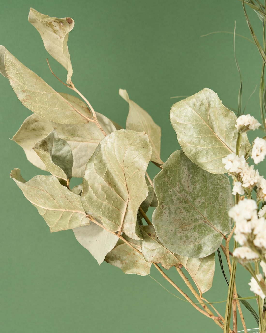 飾るだけでサマになるドライフラワーセット（スターチス・シナモンスティック・アレカヤシ）