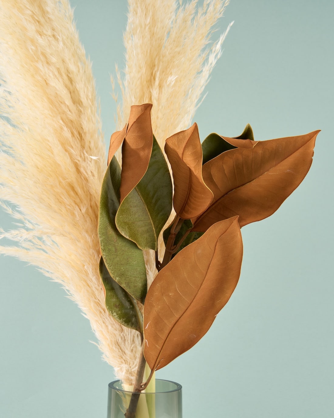 パンパスグラス ドライフラワー ガラス花瓶 セット 飾るだけでサマになるドライフラワーセット（パンパスグラス