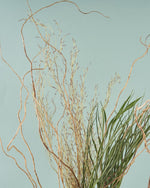 飾るだけでサマになるドライフラワーセット（雲竜柳・アレカヤシ・エミューファン）