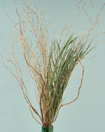 飾るだけでサマになるドライフラワーセット（雲竜柳・アレカヤシ・エミューファン）