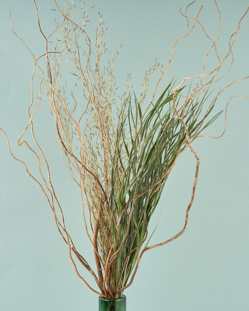 観葉植物が好きな方にもおすすめの彩り