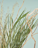 飾るだけでサマになるドライフラワーセット（雲竜柳・アレカヤシ・エミューファン）