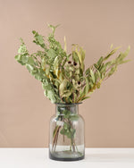 飾るだけでサマになるドライフラワーセット（5種類のユーカリ）＜緑の五重奏＞