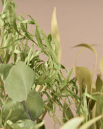 飾るだけでサマになるドライフラワーセット（5種類のユーカリ）＜緑の五重奏＞