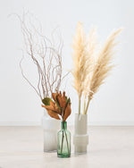 【BIGサイズ】飾るだけでサマになるドライフラワーセット(パンパスグラス・雲竜柳・マグノリア）
