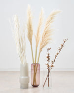 【BIGサイズ】飾るだけでサマになるドライフラワーセット(パンパスグラス・ミツマタ・コットンフラワー）