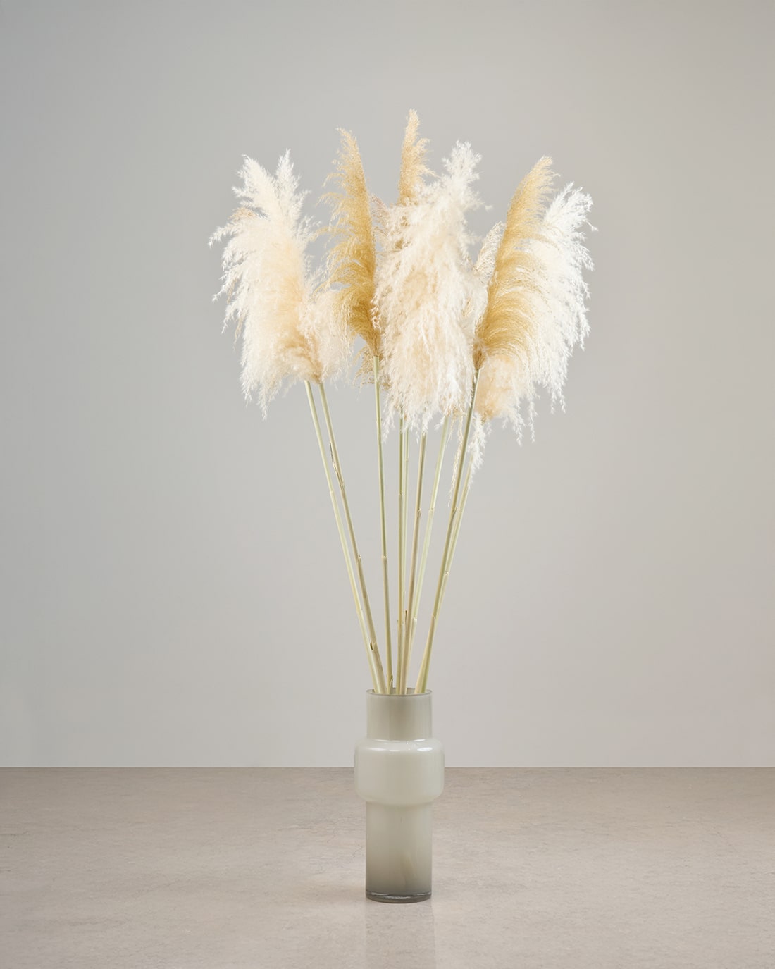 ［BIGボタニカル｜ドライ］パンパスグラス 150-160cm