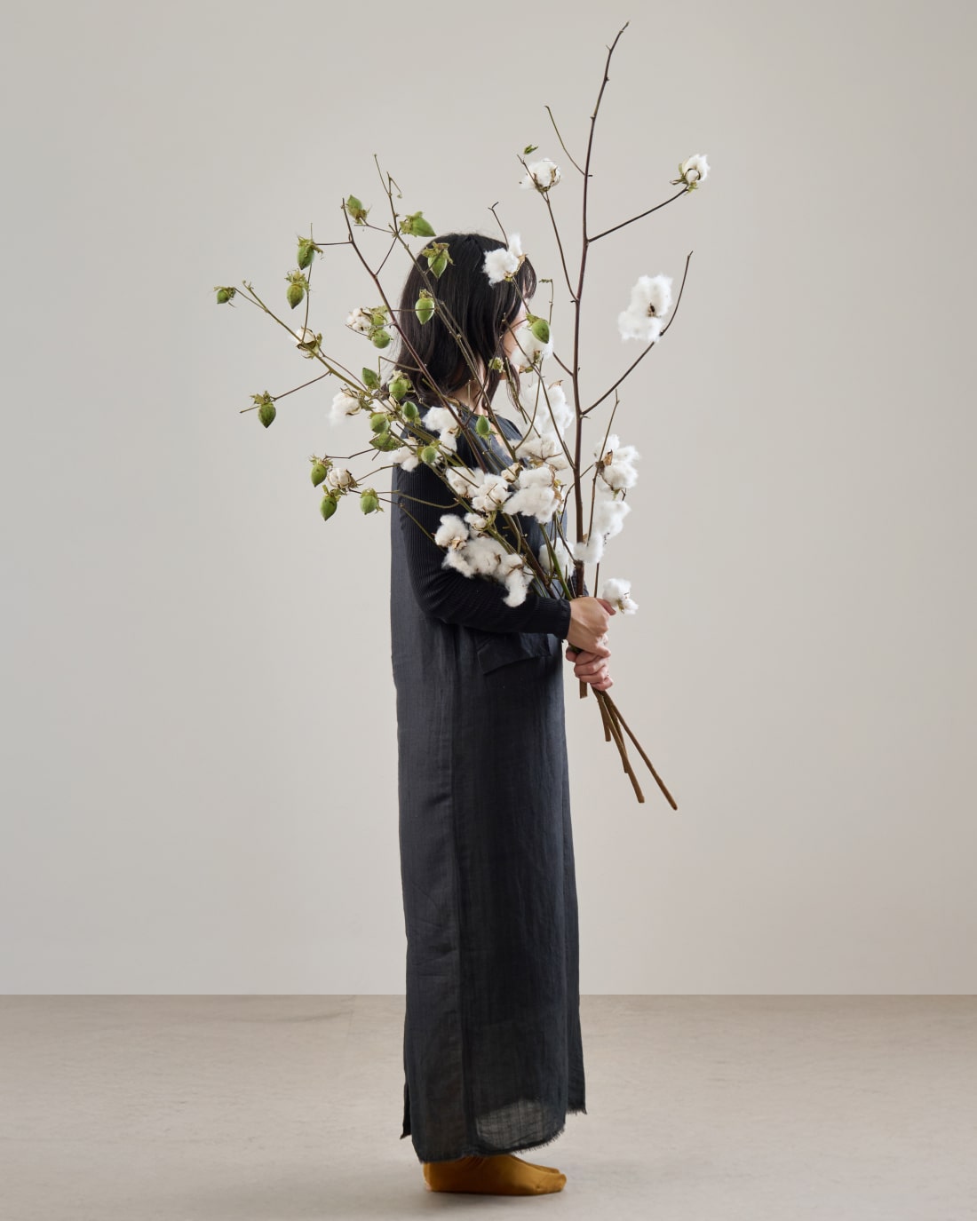 ［BIGボタニカル｜ドライ］コットンフラワー