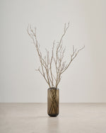 ［BIGボタニカル｜ドライ］タイガーウッド 80-120cm